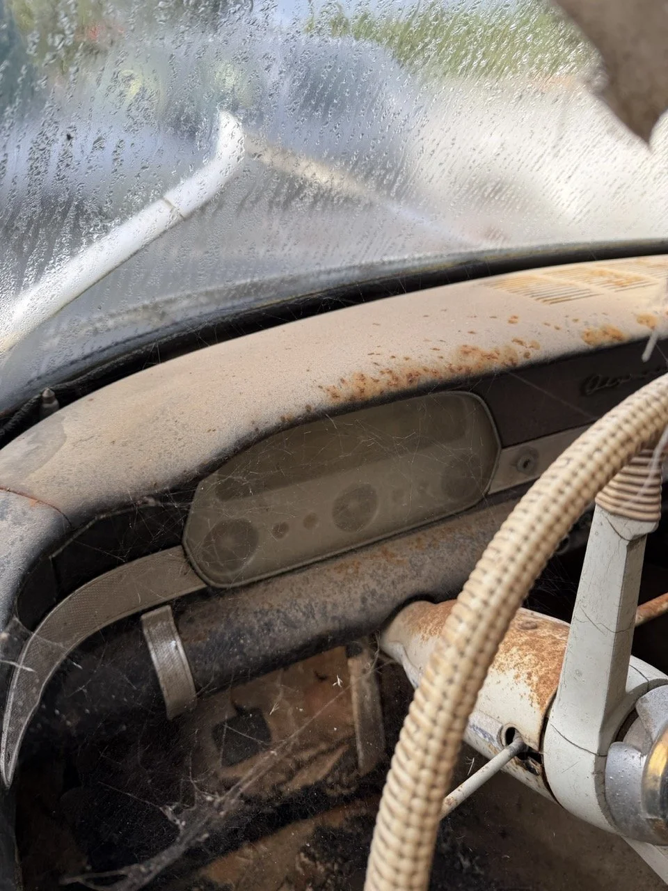 IMG_5087 – grande.jpeg