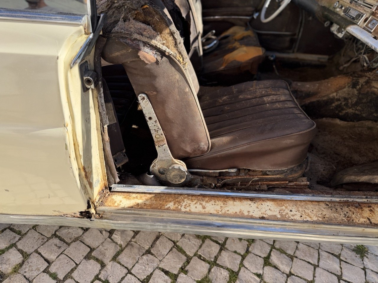 IMG_7024 – grande.jpeg