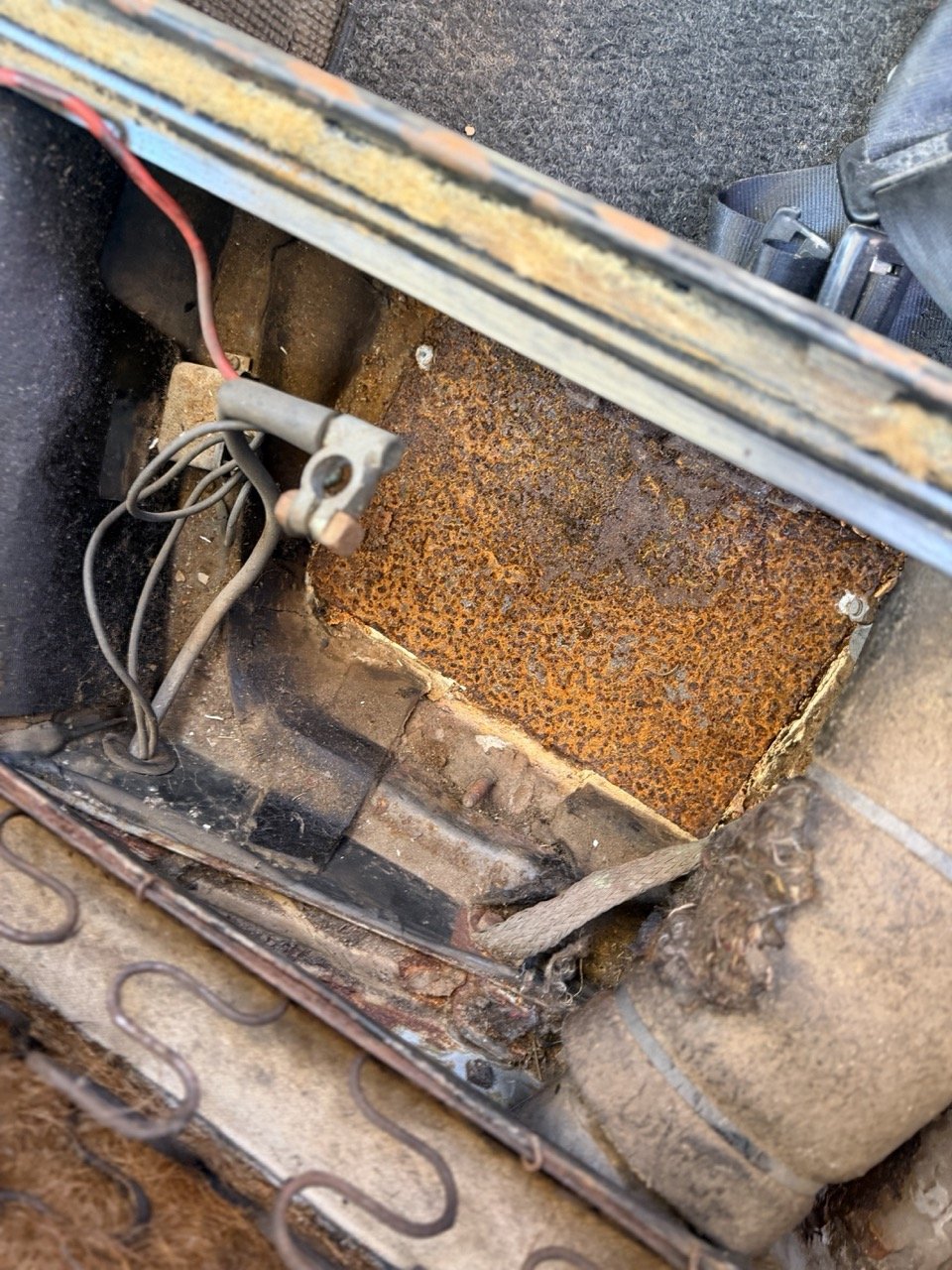 IMG_7538 – grande.jpeg