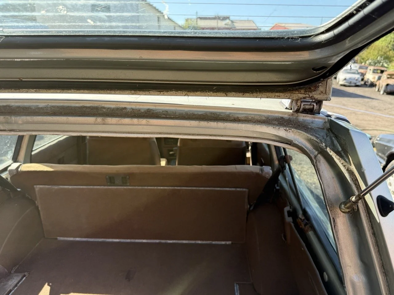 IMG_1196 – grande.jpeg