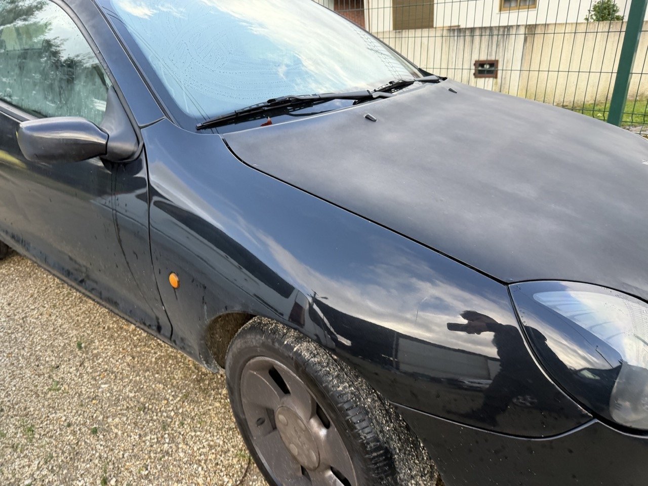 IMG_5324 – grande.jpeg