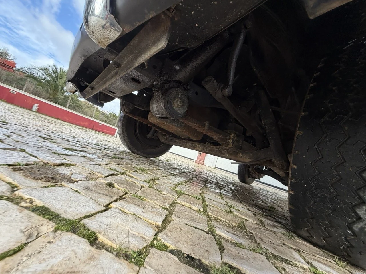 IMG_8147 – grande.jpeg