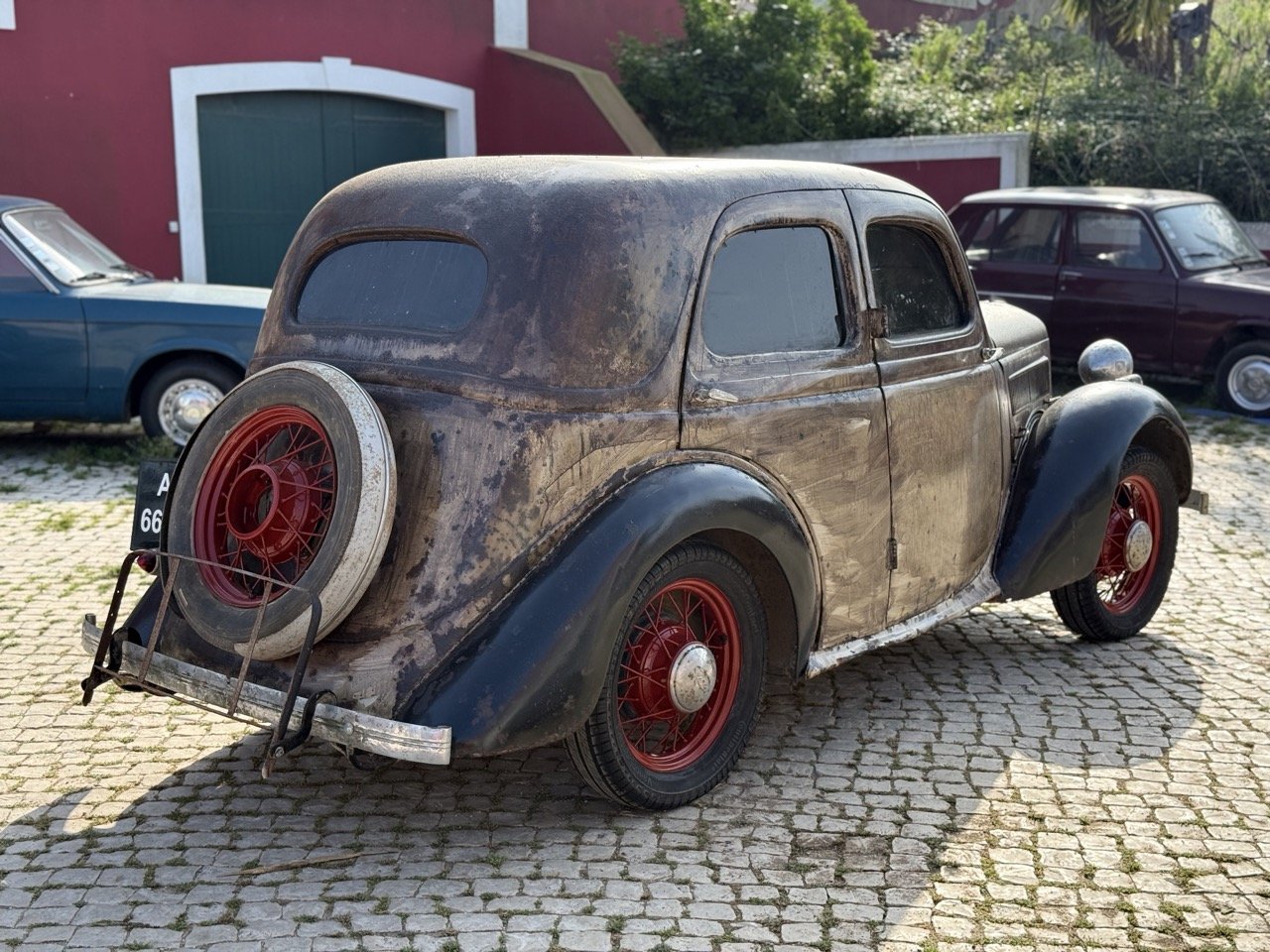 IMG_3679 – grande.jpeg