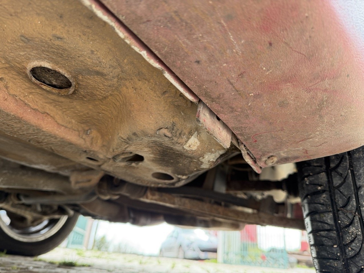 IMG_0468 – grande.jpeg