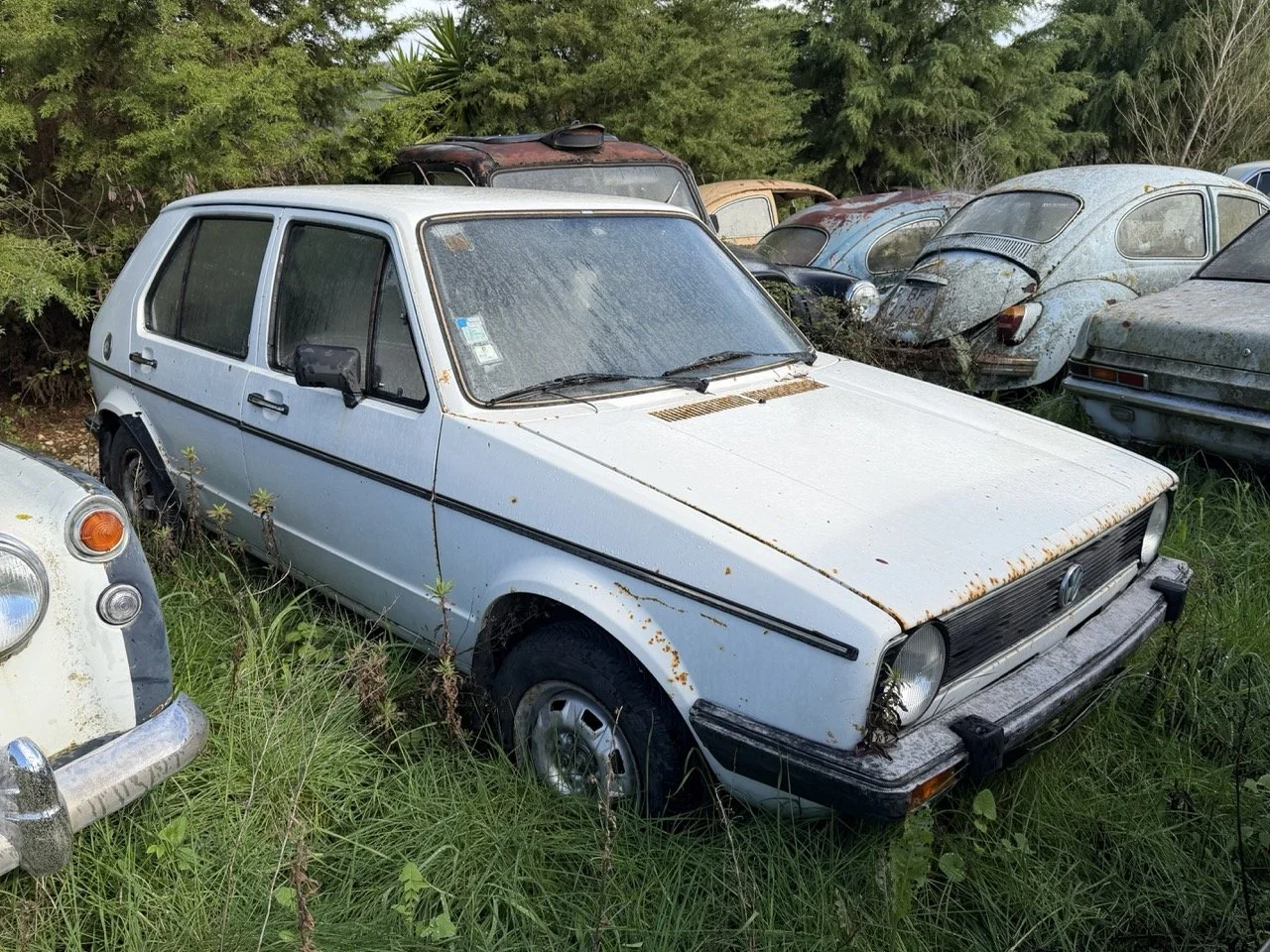 IMG_5173 – grande.jpeg