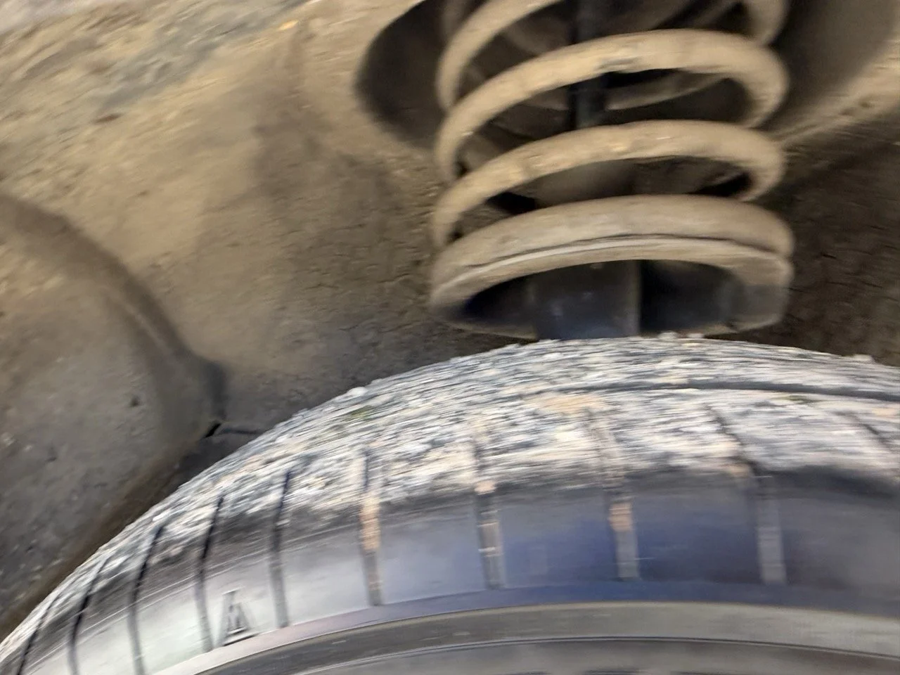 IMG_2032 – grande.jpeg