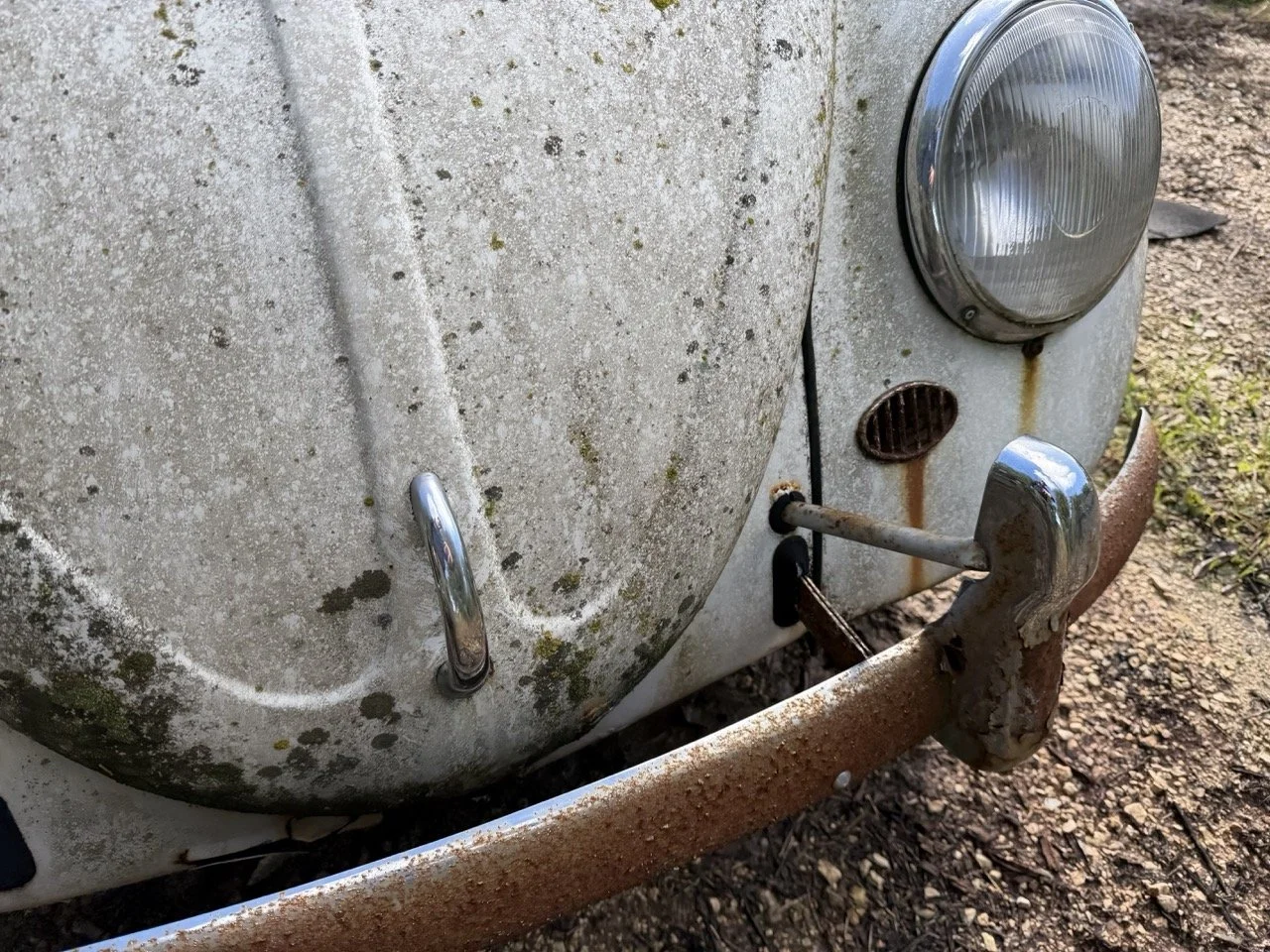 IMG_8588 – grande.jpeg