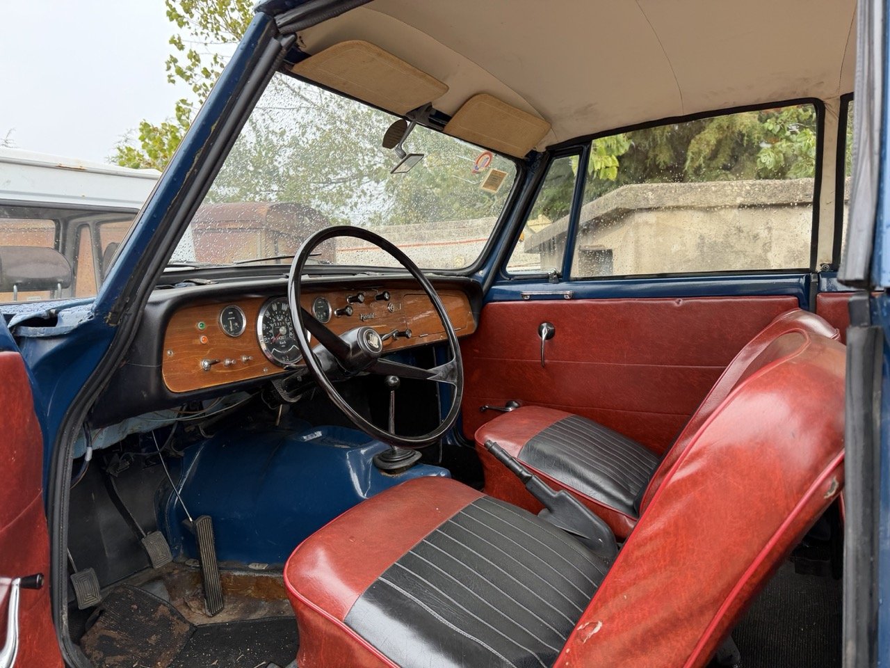 IMG_8667 – grande.jpeg