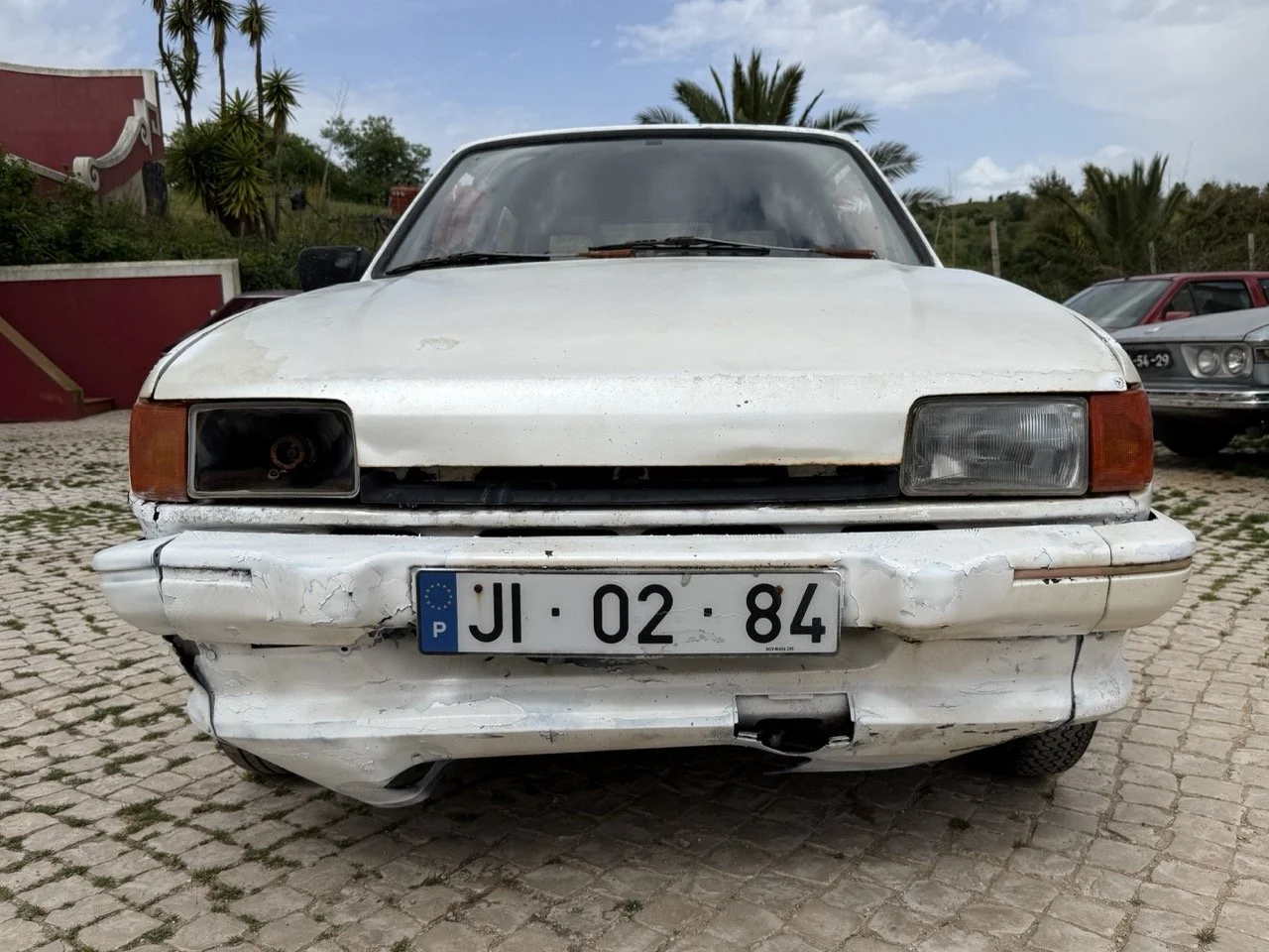 IMG_8610 – grande.jpeg