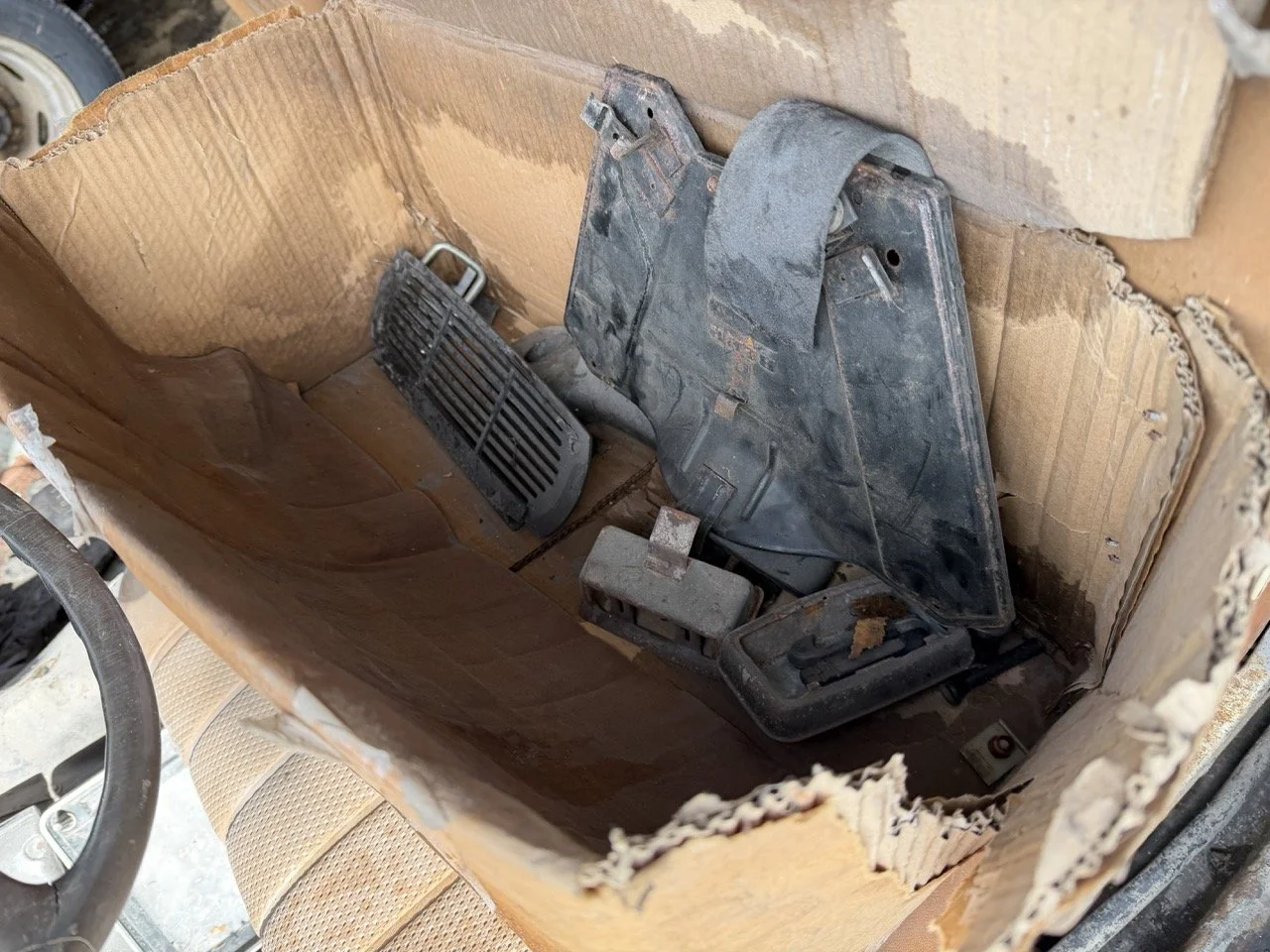 IMG_5242 – grande.jpeg