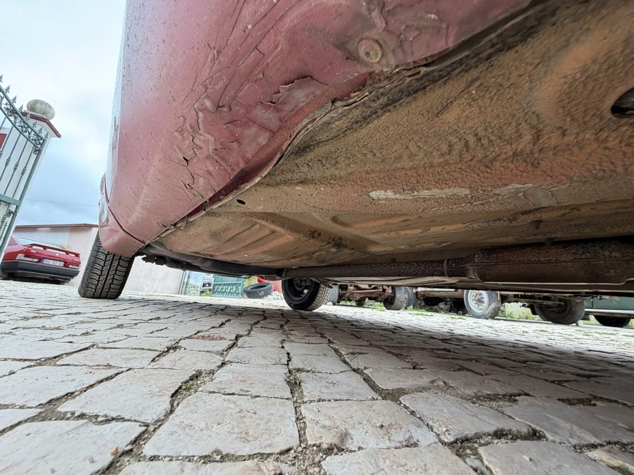 IMG_3656 – grande.jpeg