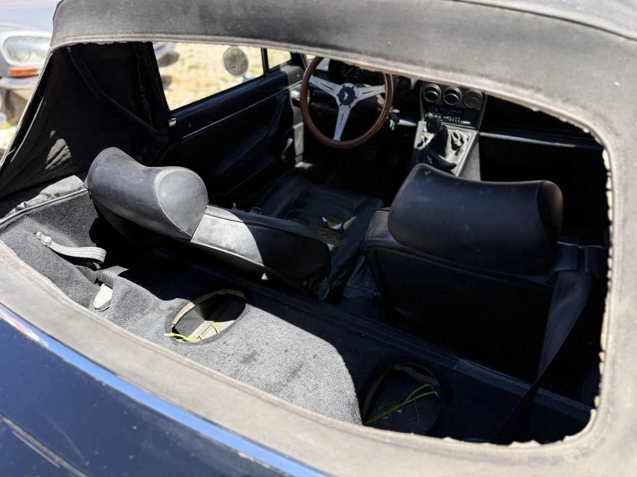 IMG_2161 – grande.jpeg