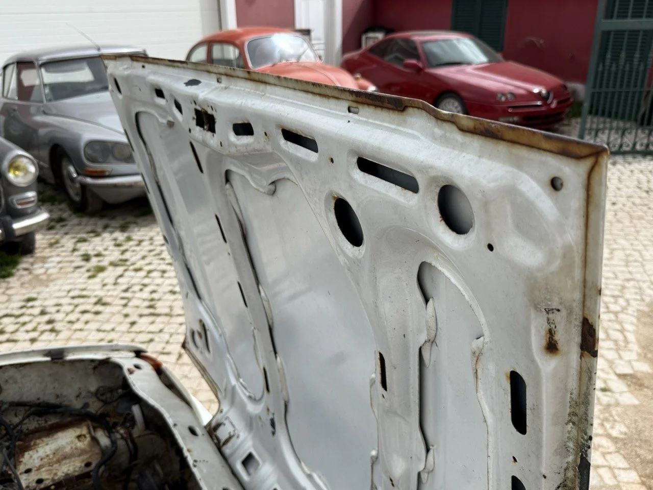 IMG_8559 – grande.jpeg