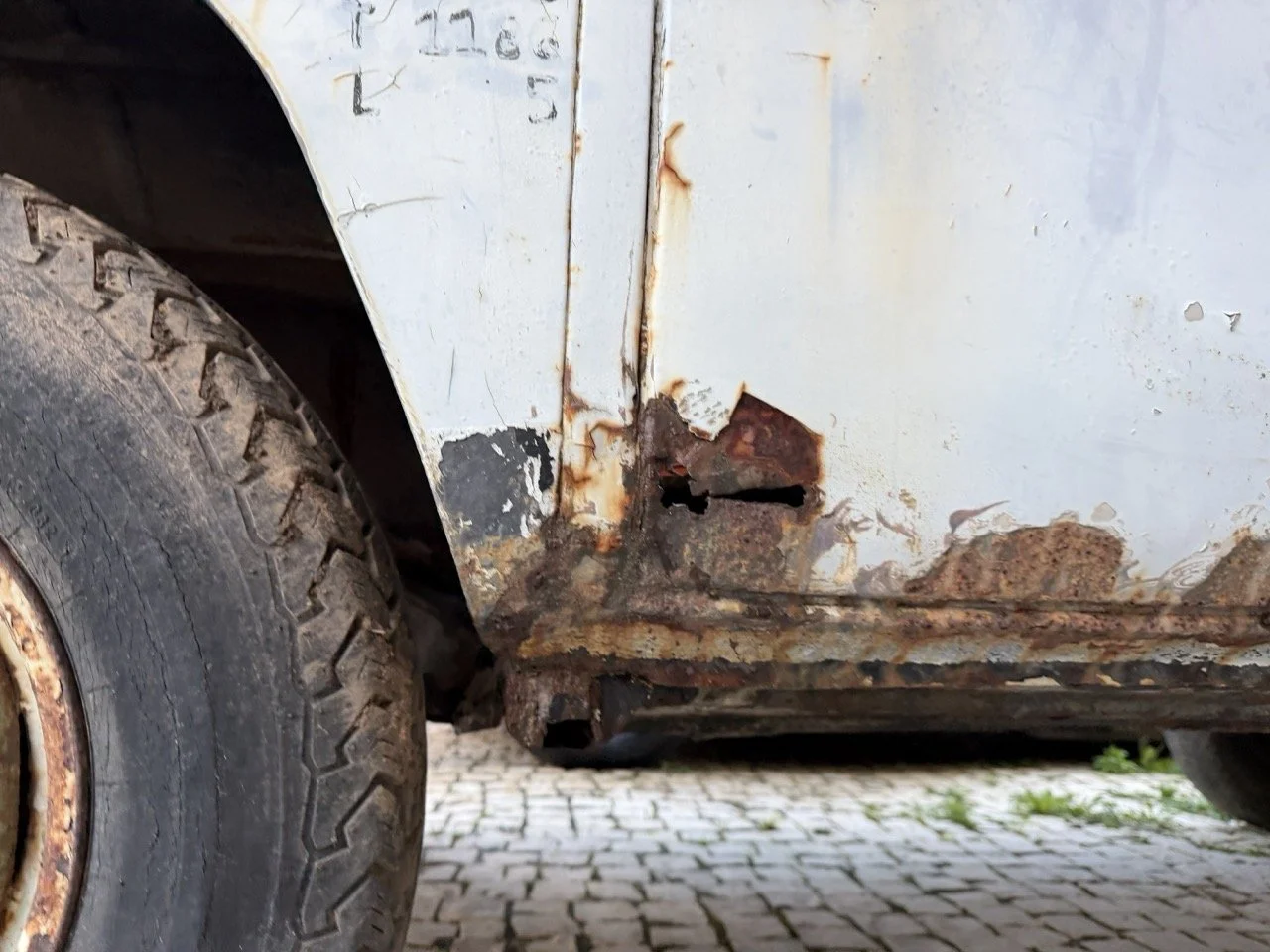 IMG_0831 – grande.jpeg