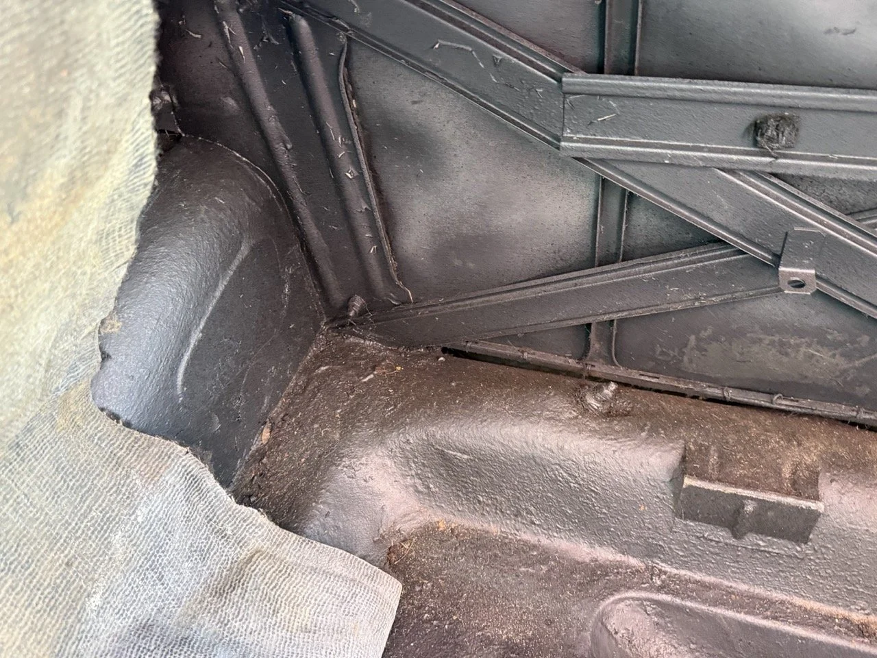 IMG_3532 – grande.jpeg