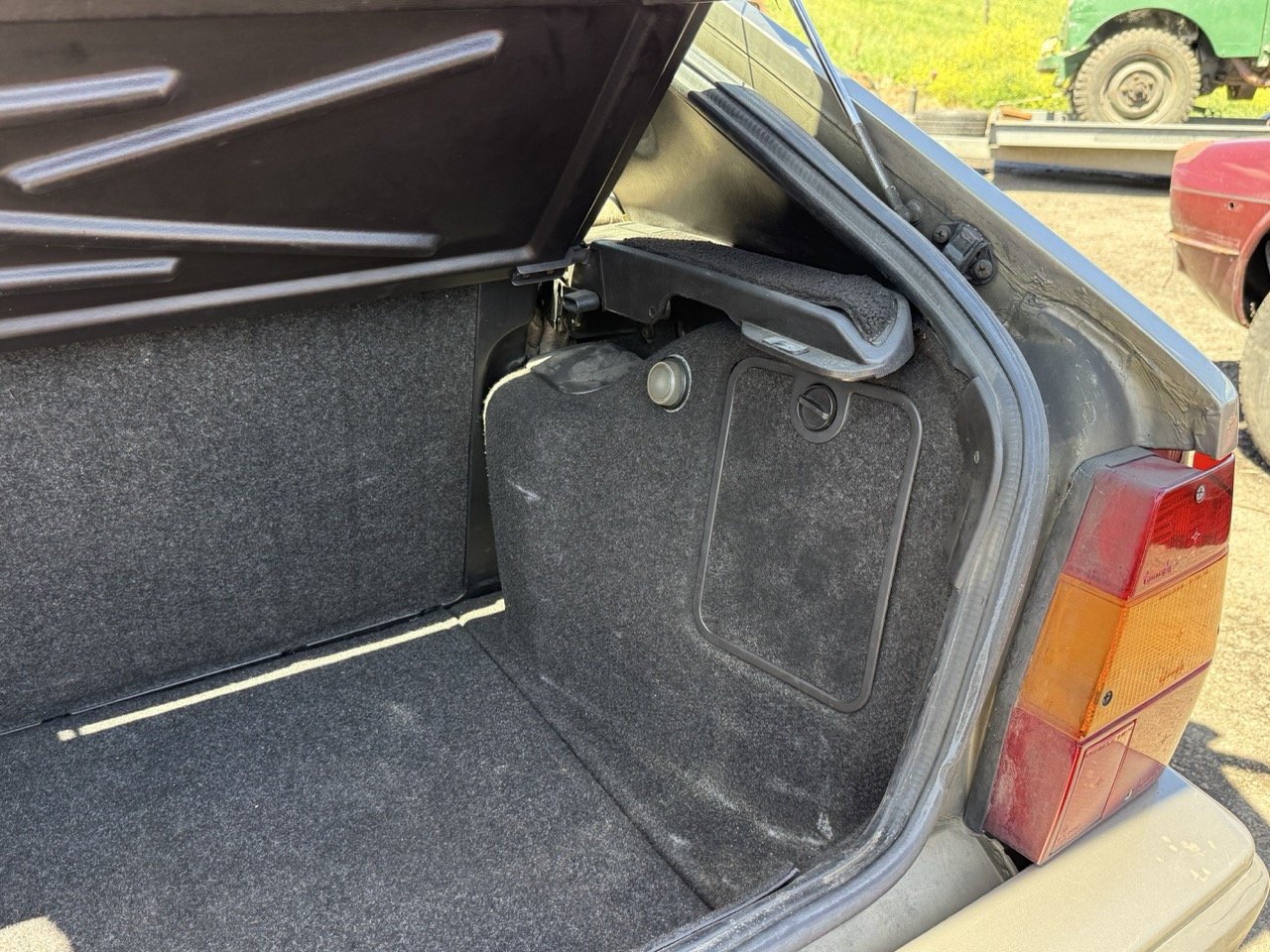 IMG_1929 – grande.jpeg