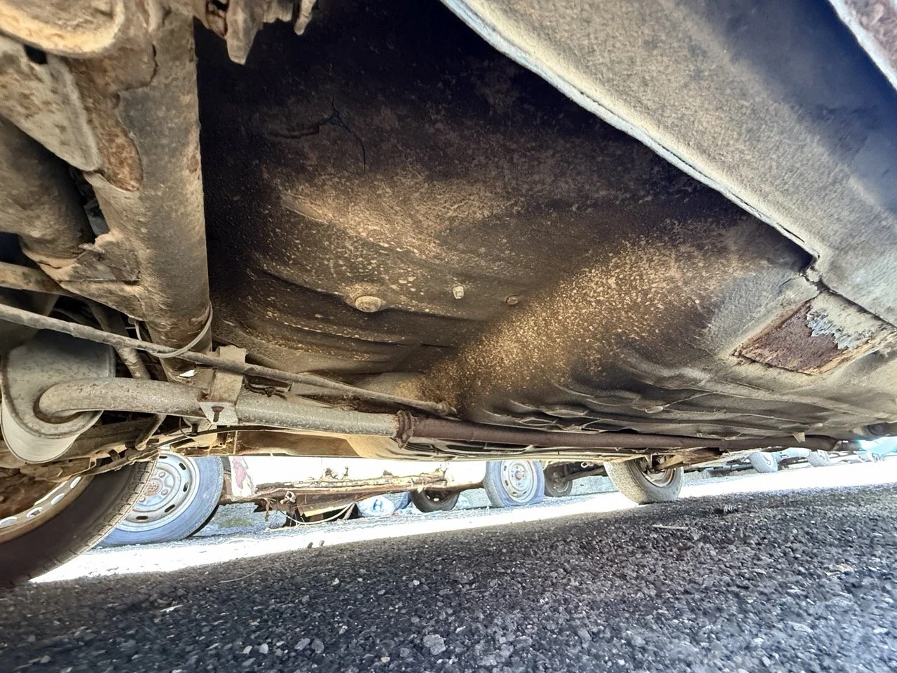 IMG_0812 – grande.jpeg