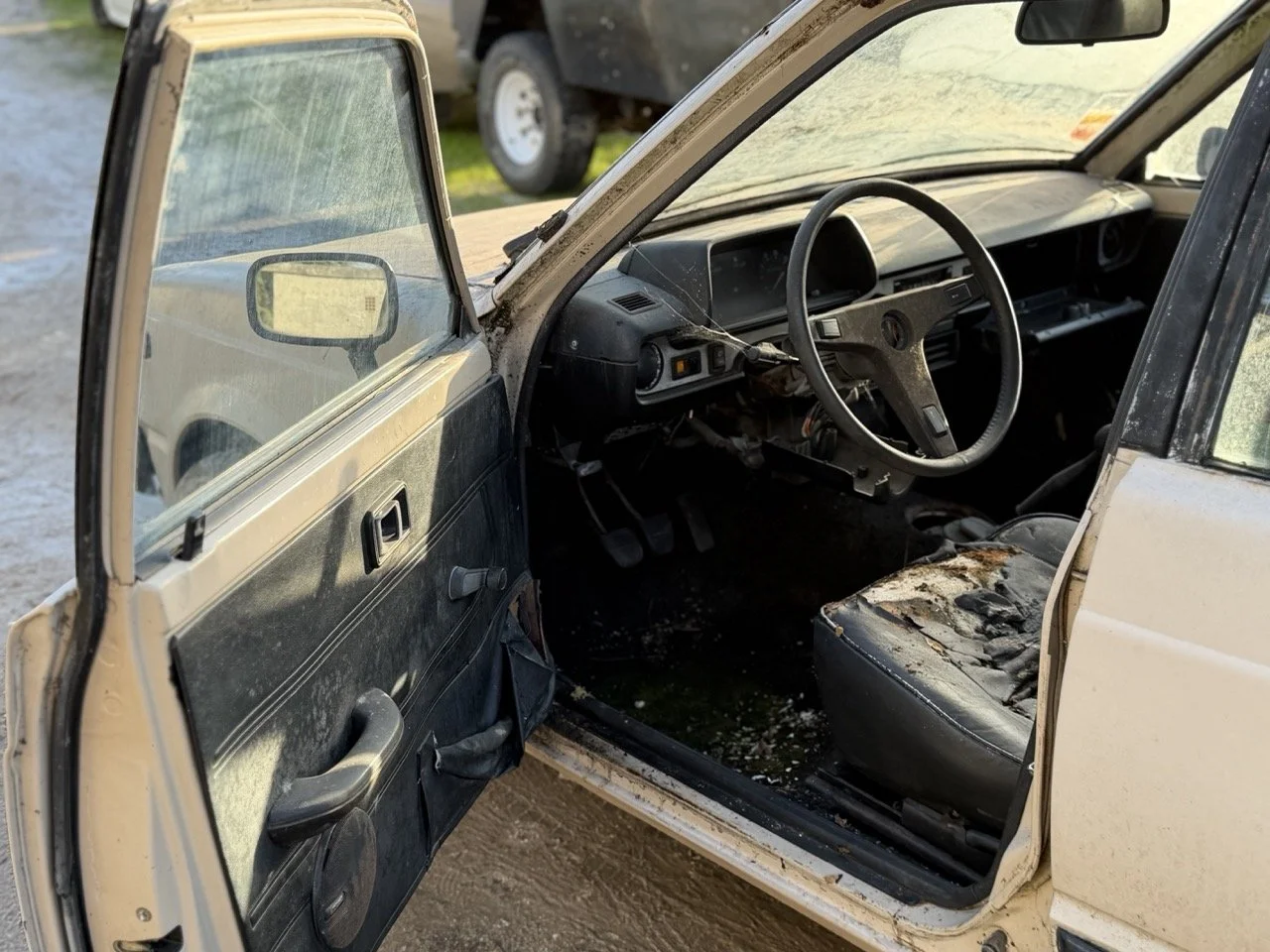 IMG_4028 – grande.jpeg