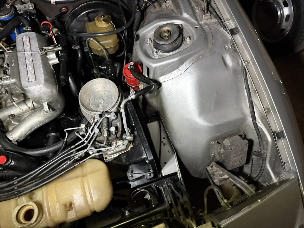 IMG_4823 3 – grande.jpeg