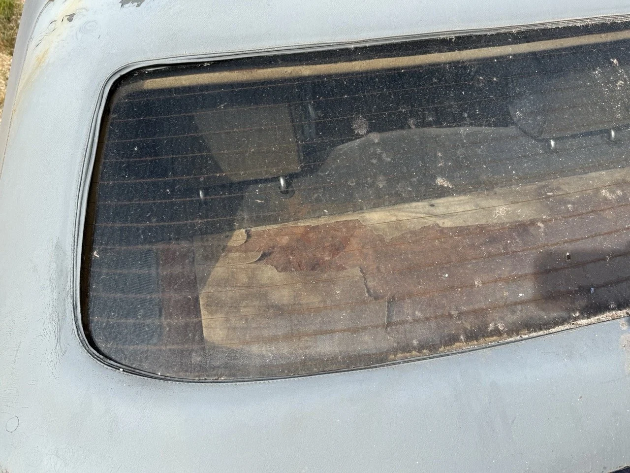 IMG_3405 – grande.jpeg