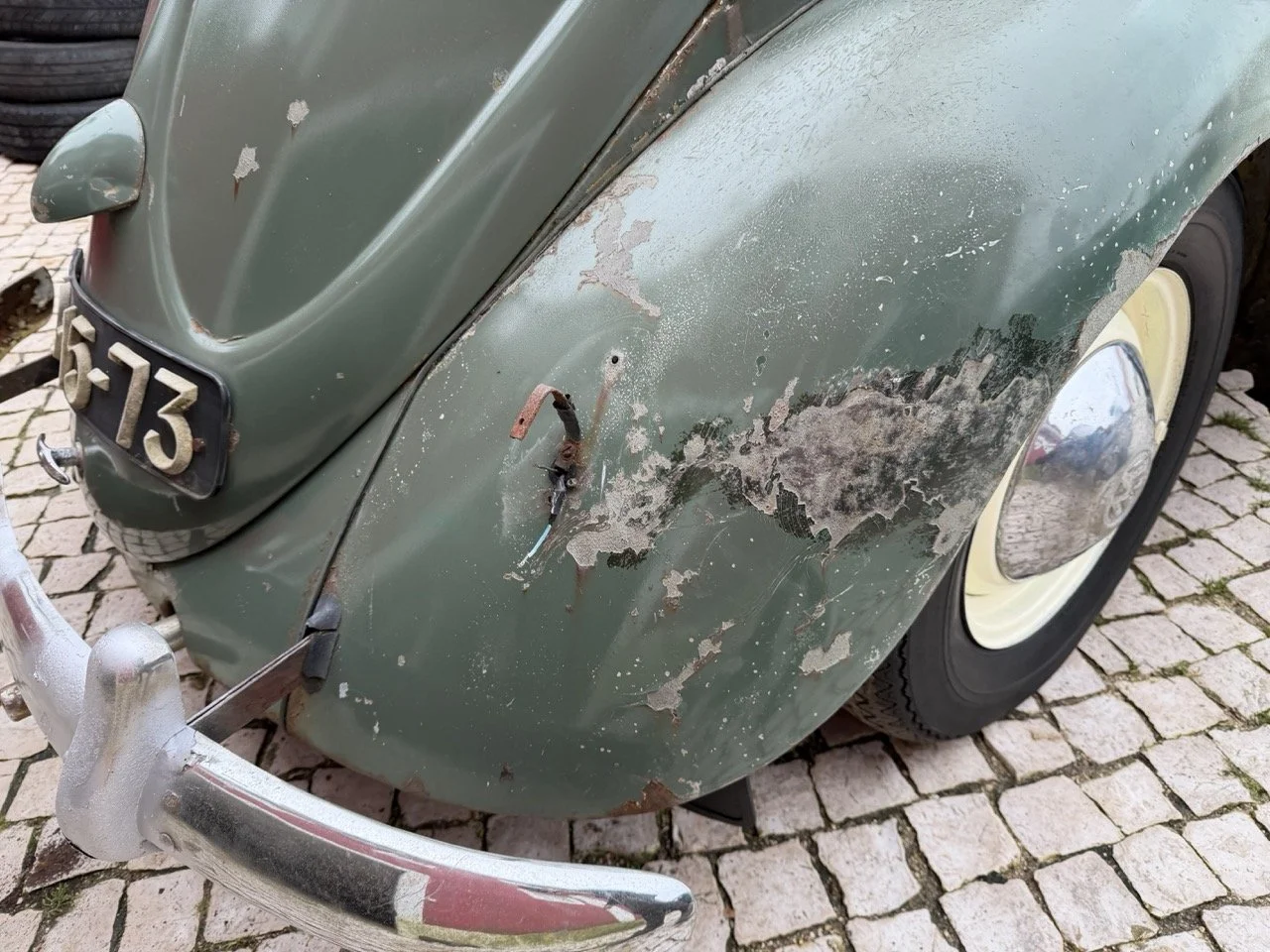 IMG_1219 – grande.jpeg