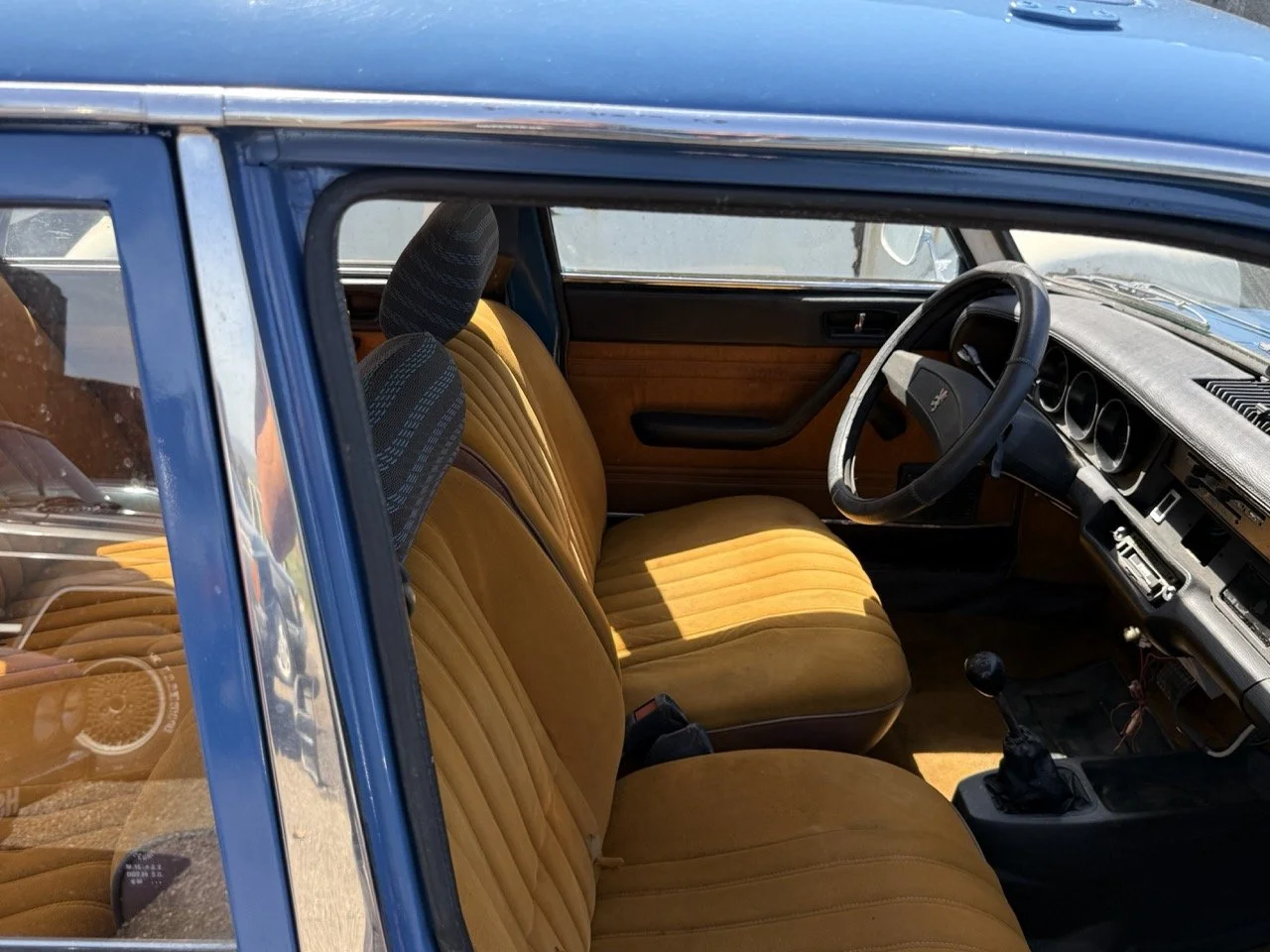 IMG_0783 – grande.jpeg