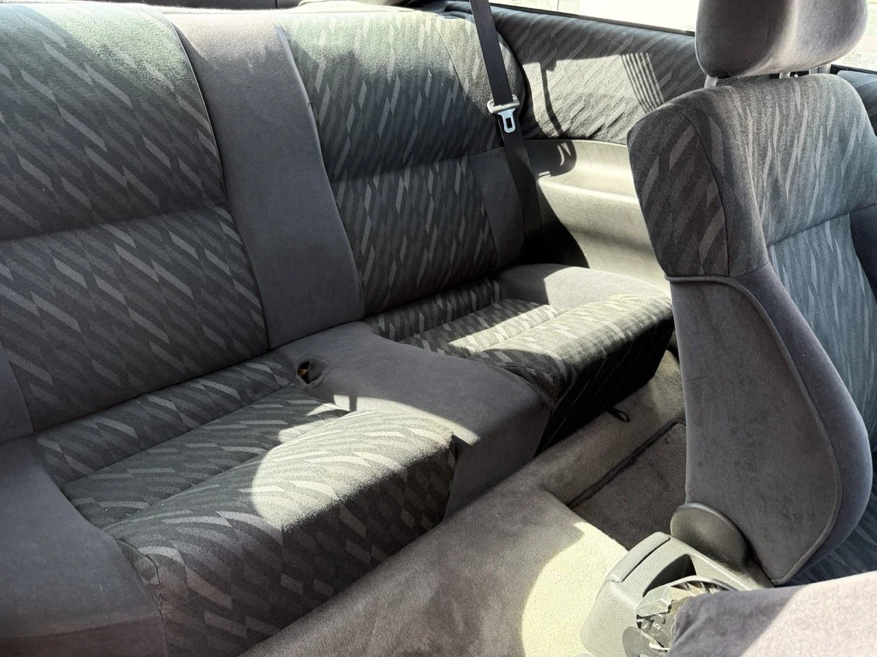 IMG_2410 – grande.jpeg