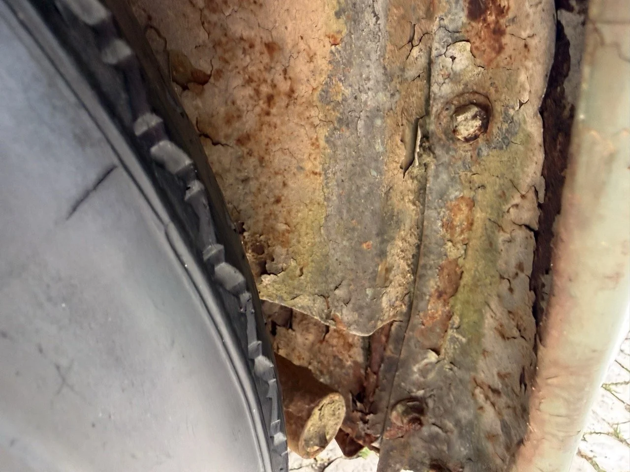 IMG_1225 – grande.jpeg