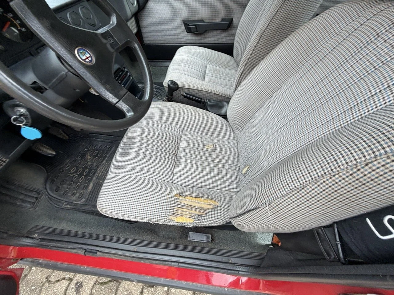 IMG_3284 – grande.jpeg