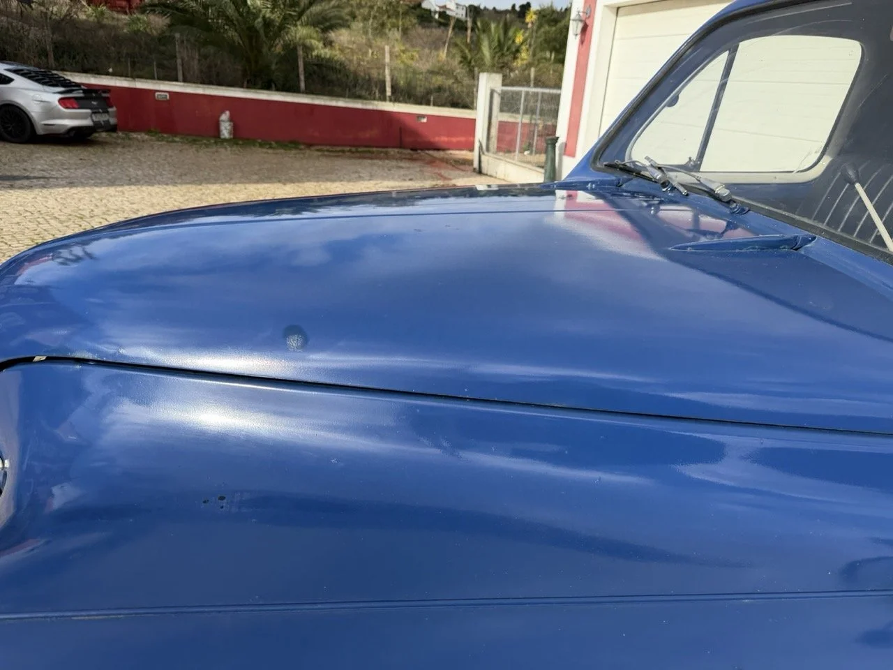 IMG_8128 – grande.jpeg