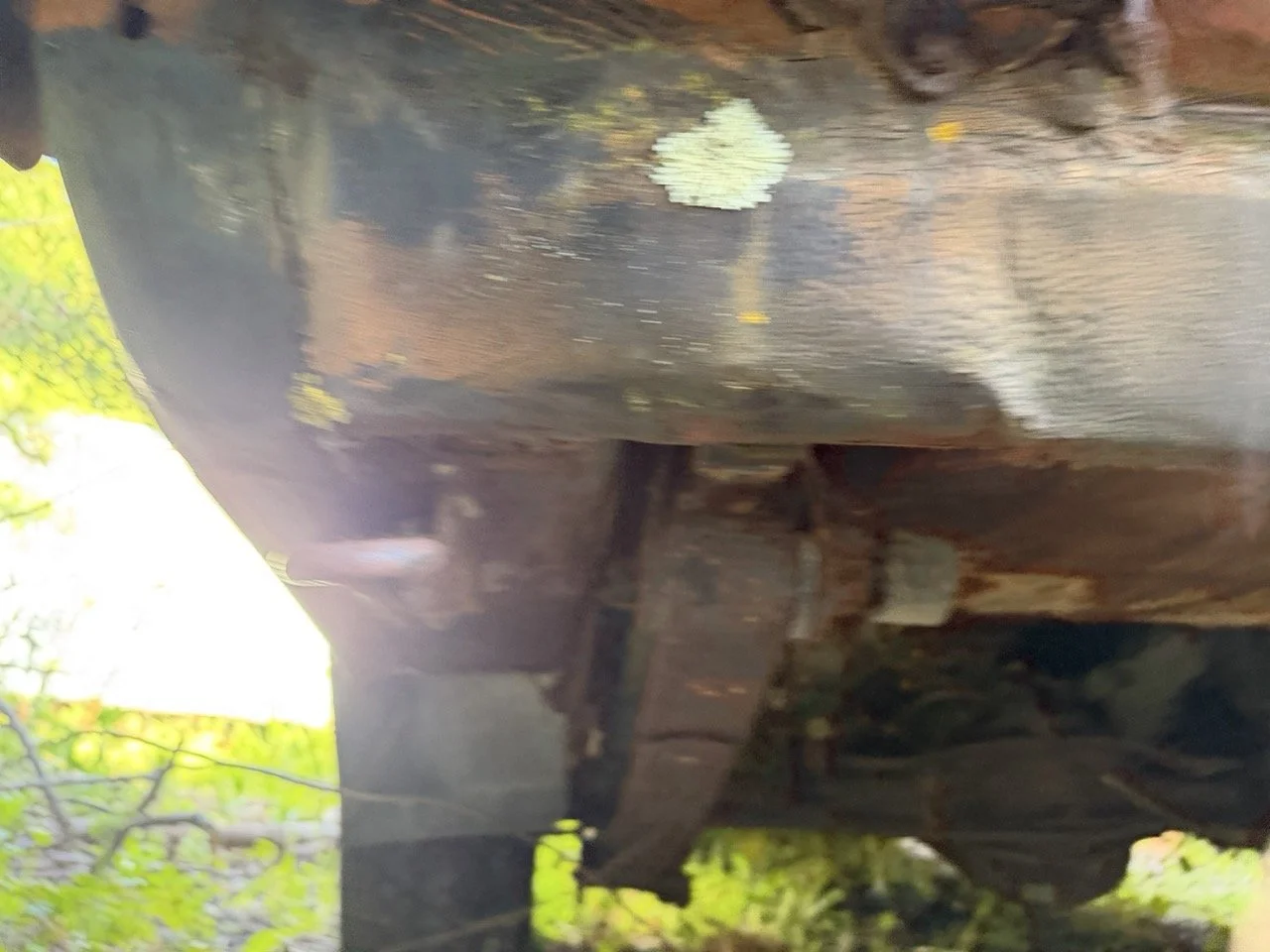 IMG_7699 – grande.jpeg