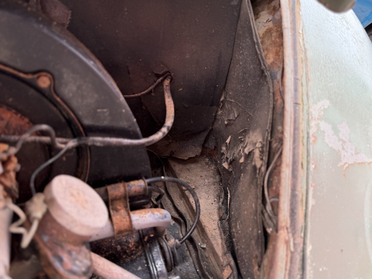 IMG_1164 – grande.jpeg