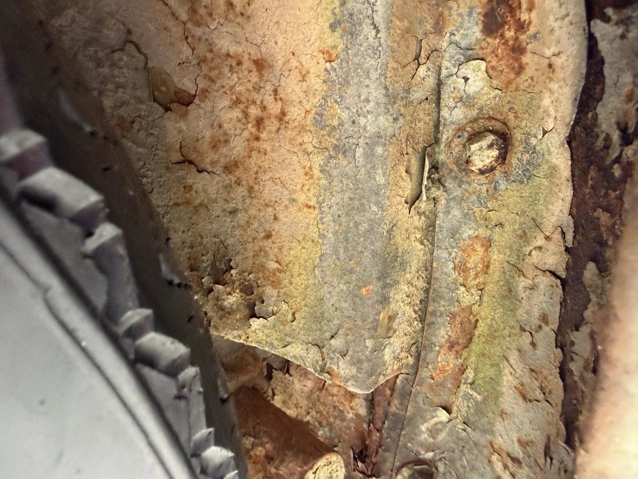 IMG_1226 – grande.jpeg