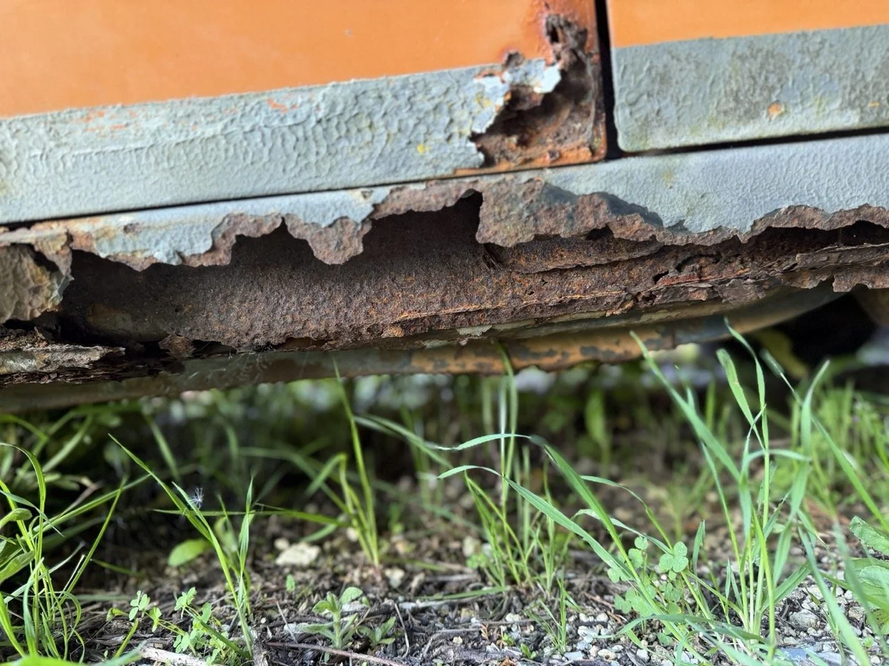 IMG_7694 – grande.jpeg