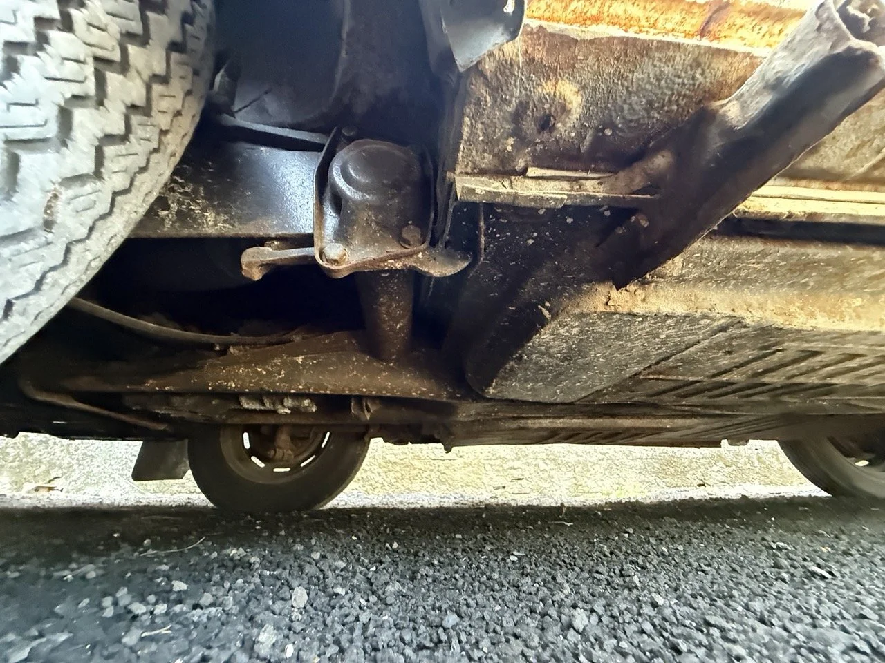 IMG_0726 – grande.jpeg