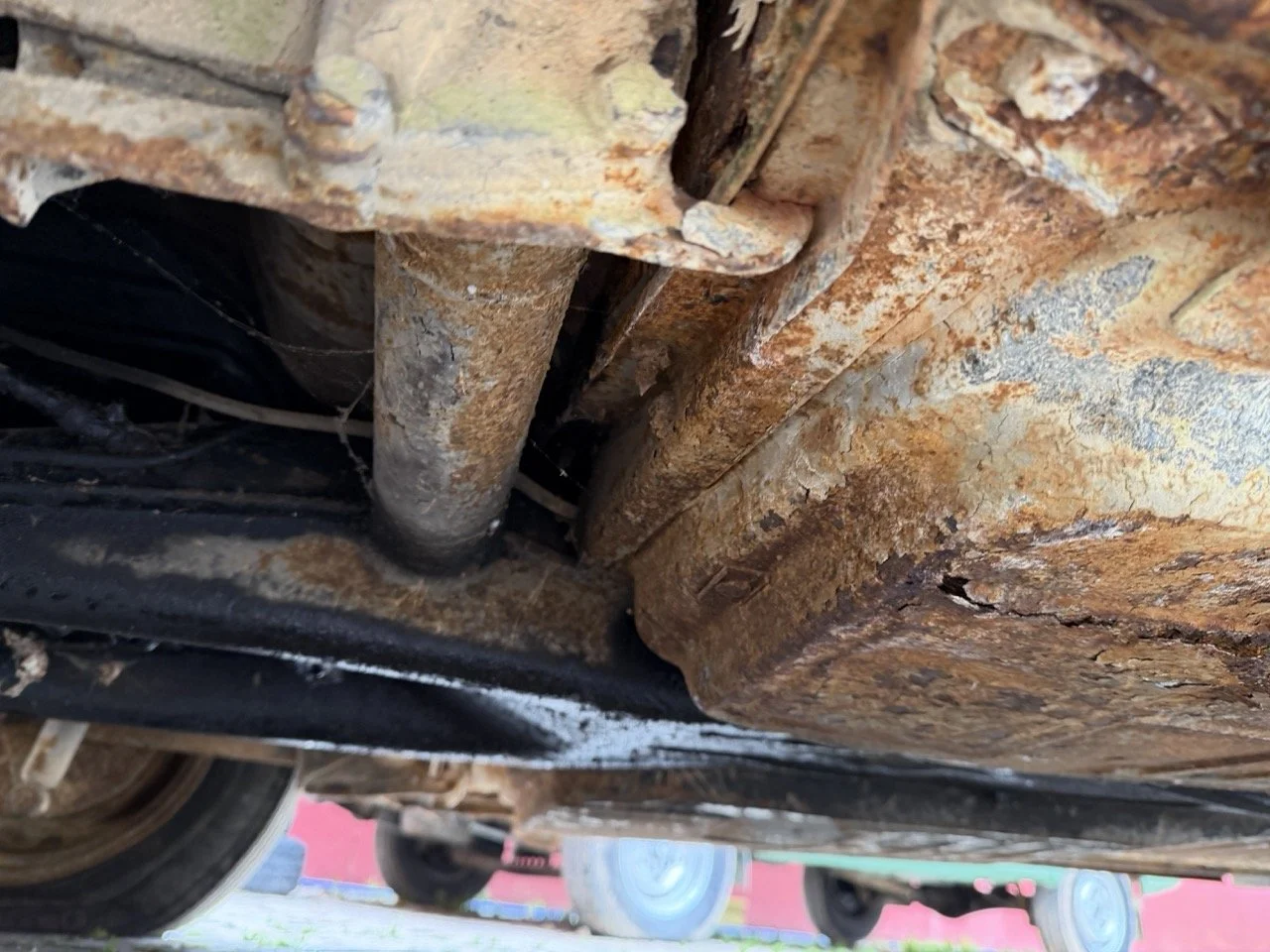 IMG_1228 – grande.jpeg