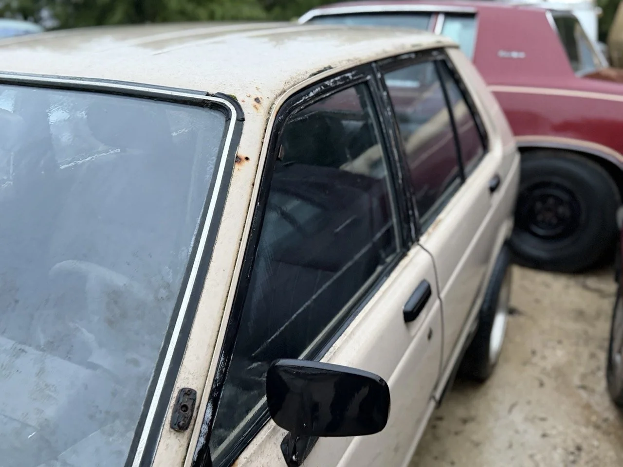 IMG_0193 – grande.jpeg