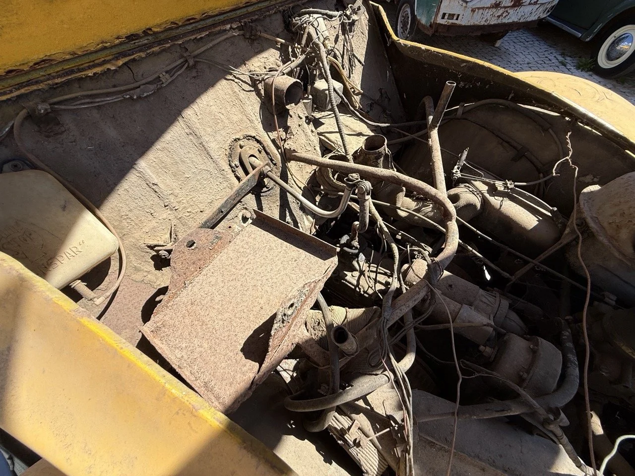 IMG_9147 – grande.jpeg