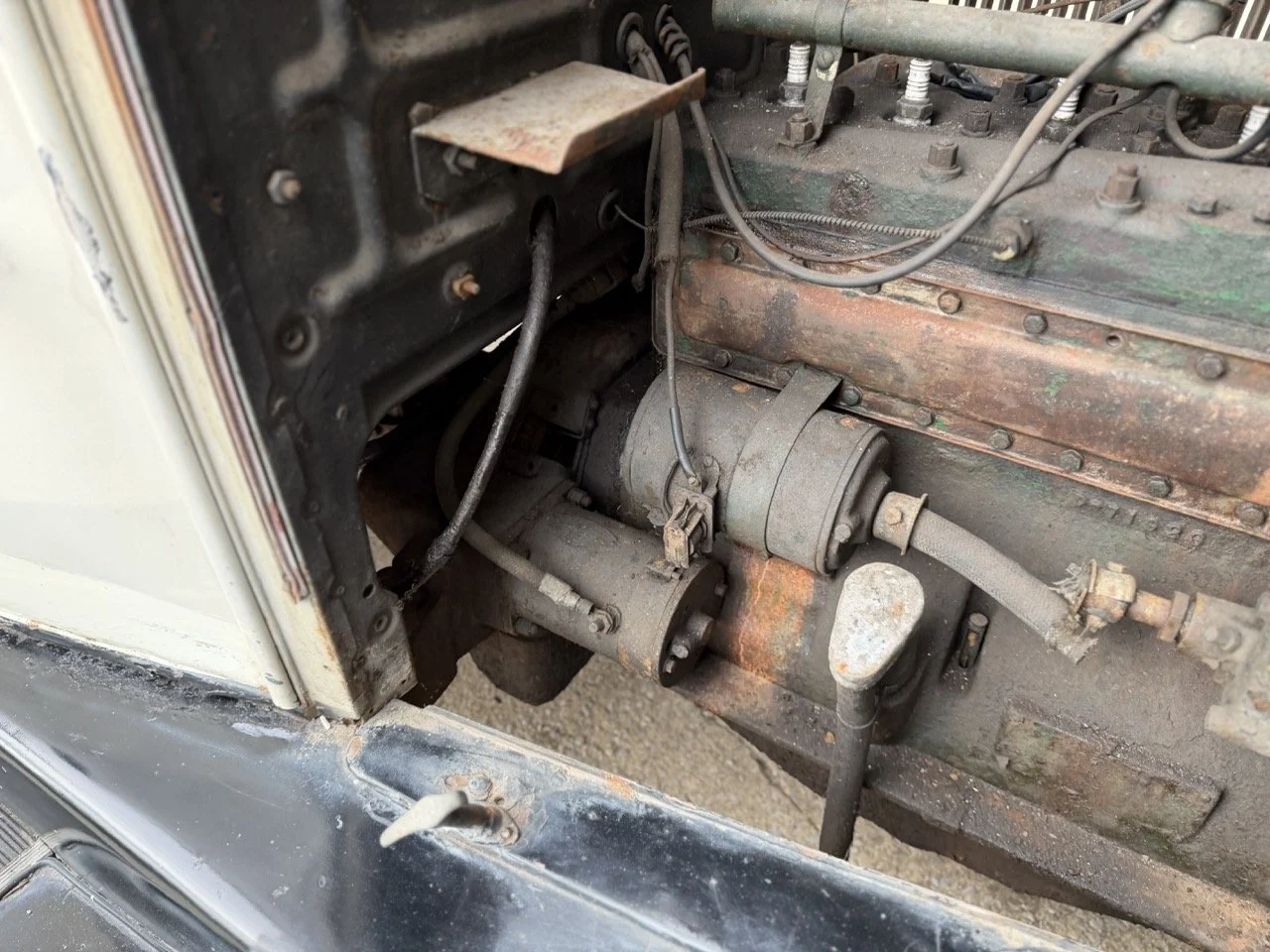 IMG_1697 – grande.jpeg