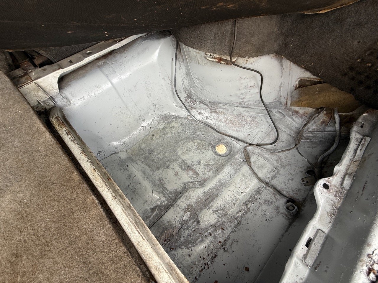 IMG_8584 – grande.jpeg