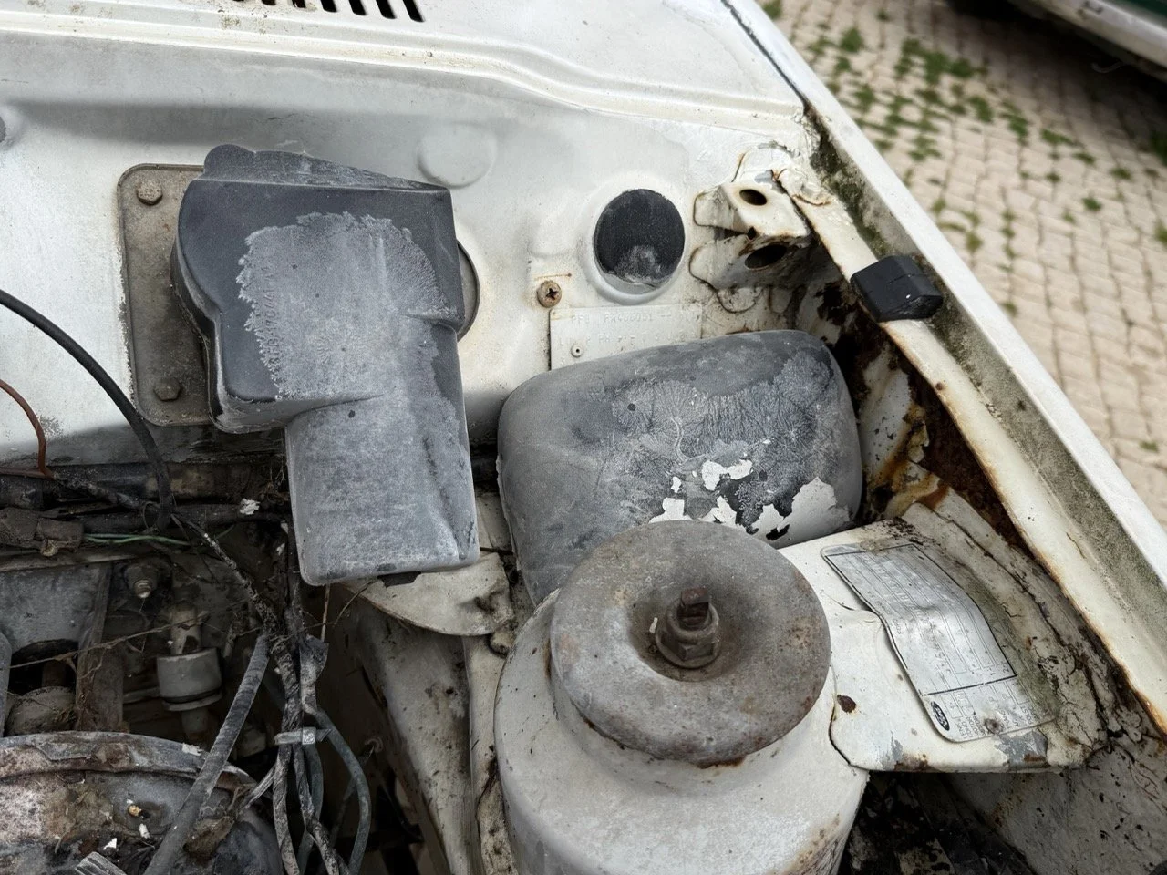 IMG_8564 – grande.jpeg