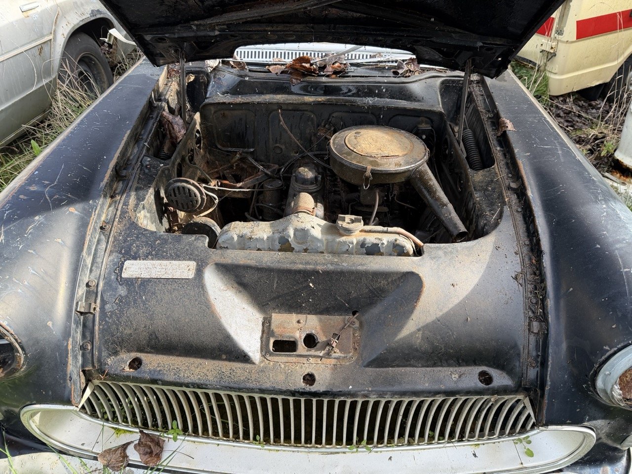 IMG_5090 – grande.jpeg