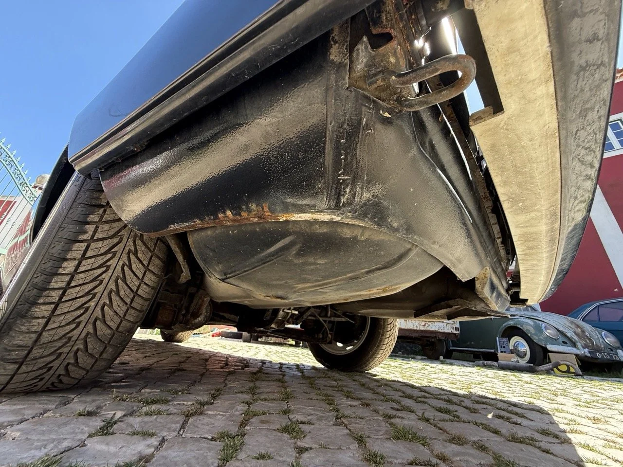 IMG_2238 – grande.jpeg