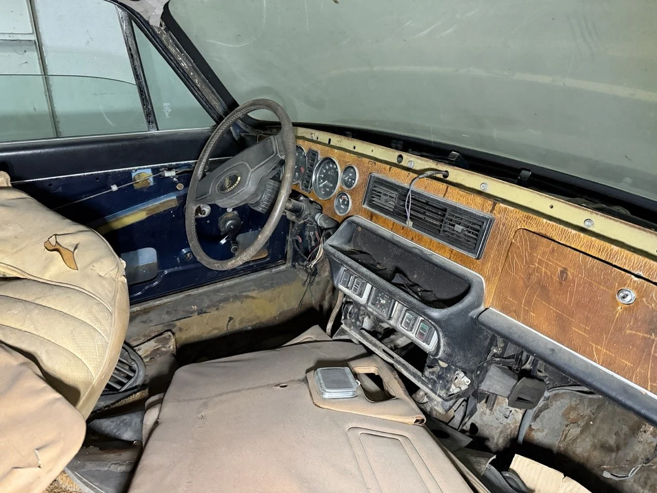 IMG_4245 – grande.jpeg