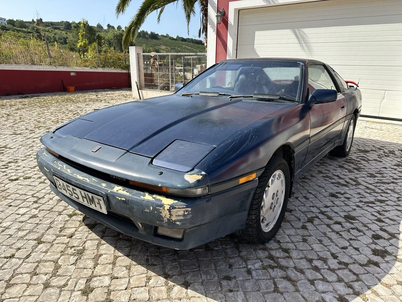 IMG_7159 – grande.jpeg