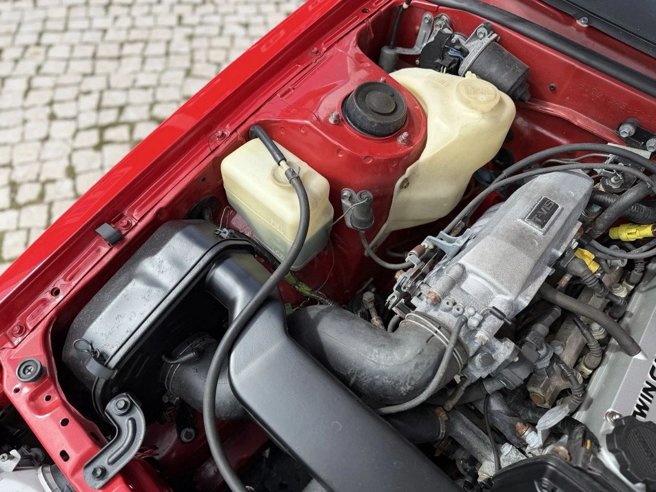 IMG_2356 – grande.jpeg