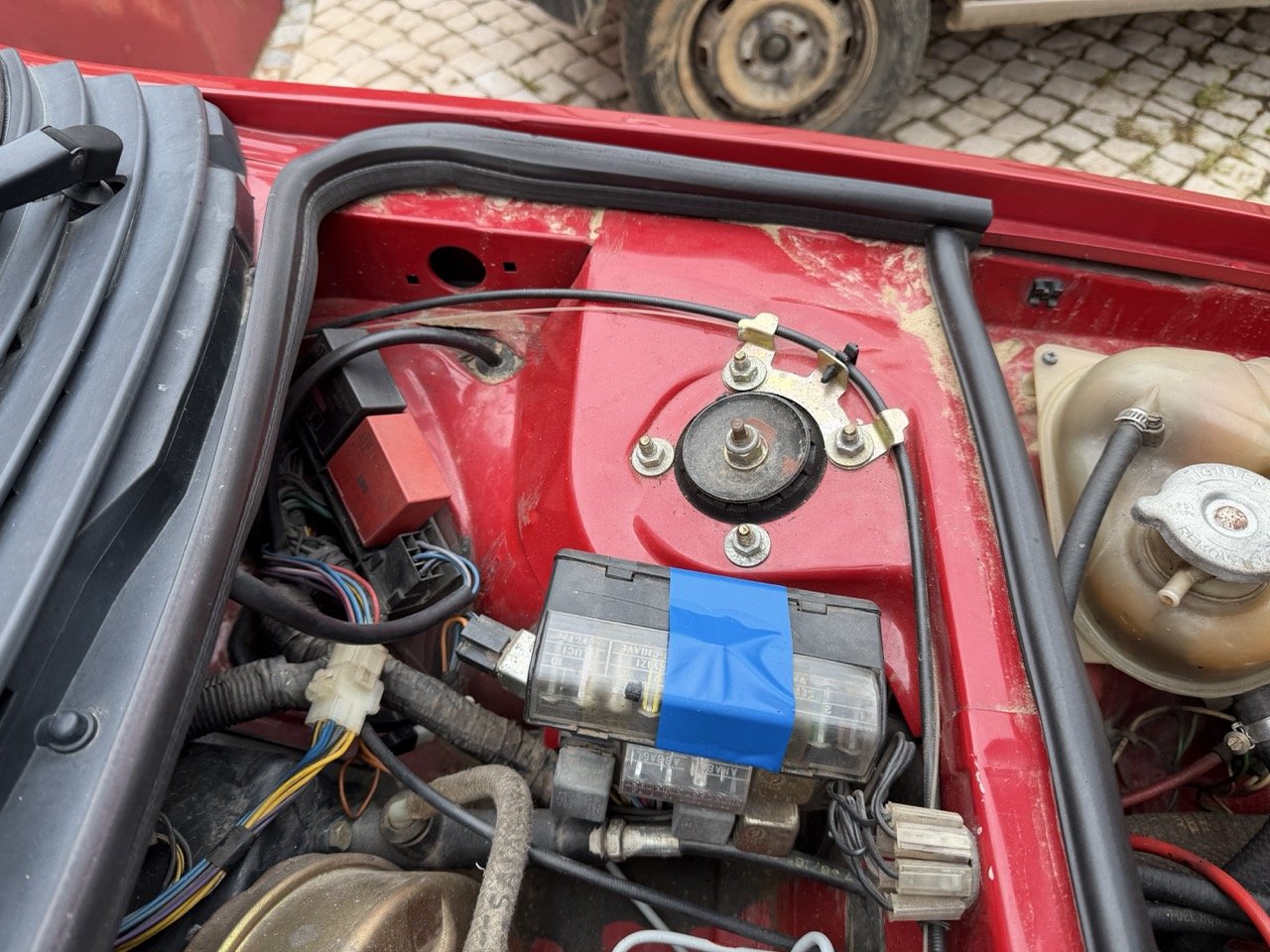 IMG_3487 – grande.jpeg