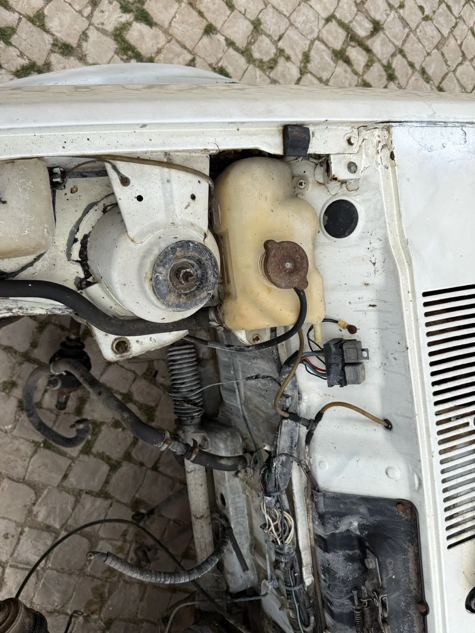 IMG_8554 – grande.jpeg