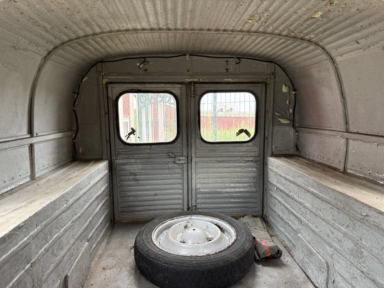 IMG_3764 – grande.jpeg