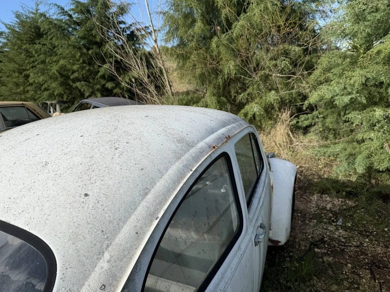 IMG_8579 – grande.jpeg